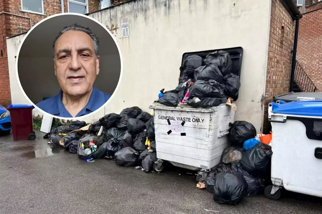 Takeaway fears pests as rubbish 'not collected for four weeks'