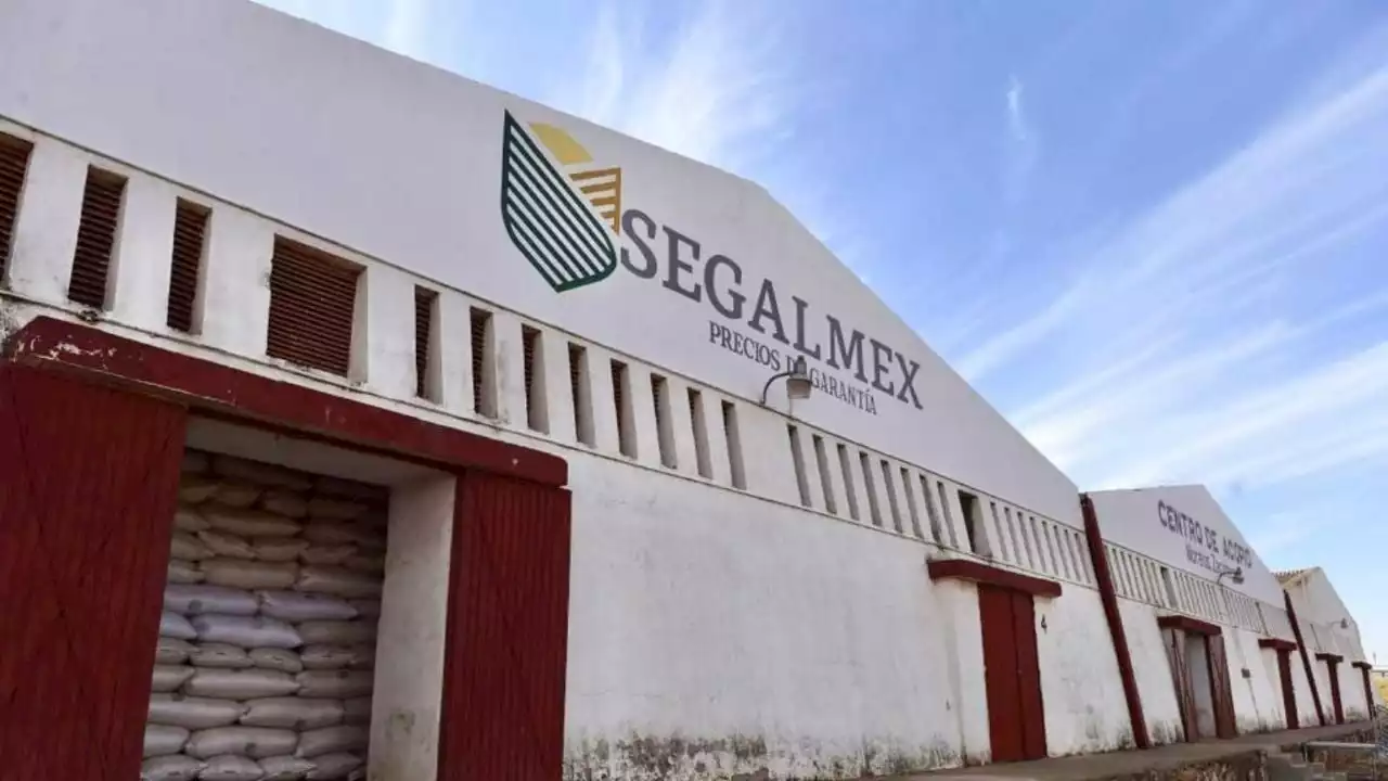 INAI ordena a Segalmex transparentar la recuperación de 950 mdp por compra de certificados