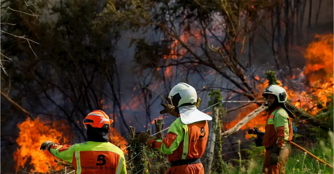 Spain's Asturias ravaged by fires as authorities blame 'terrorist' arsonists