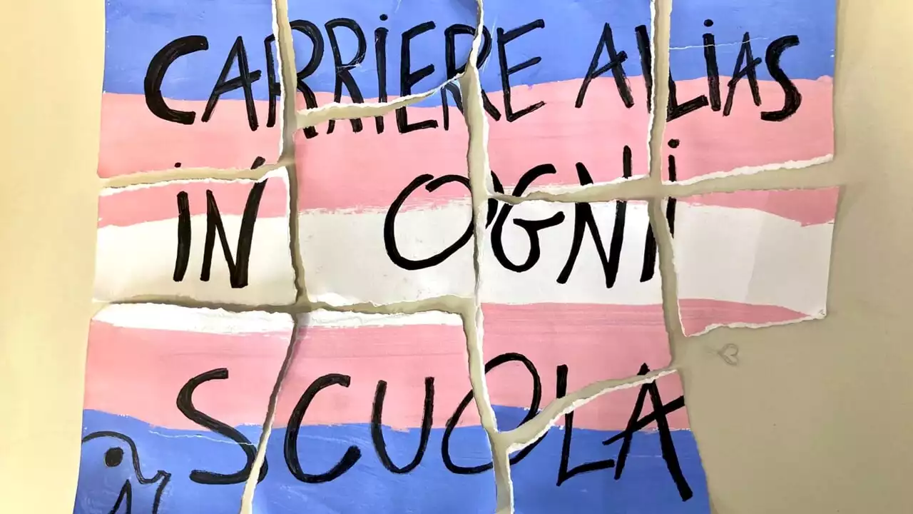 Insegnante strappa cartello pro Carriera Alias durante sit-in studentesco