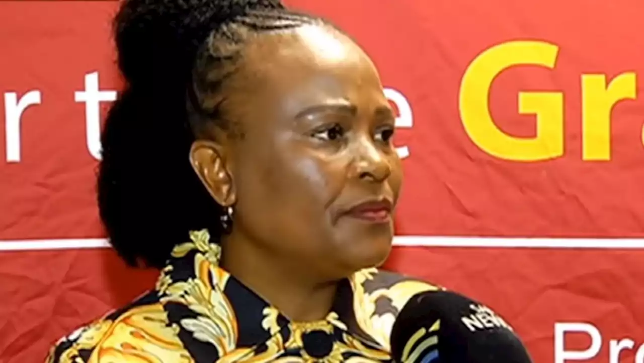 Mpofu's mandate as Mkhwebane's representative at Section 194 Committee has ended - SABC News