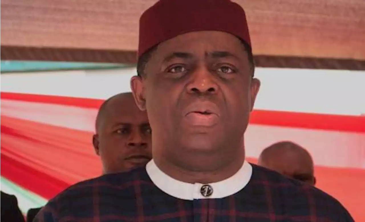 Group Gives Nigeria Police Boss, Secret Police Unit, DSS, 48 Hours To Arrest Fani-Kayode For ‘Posing Threats To National Security’ | Sahara Reporters