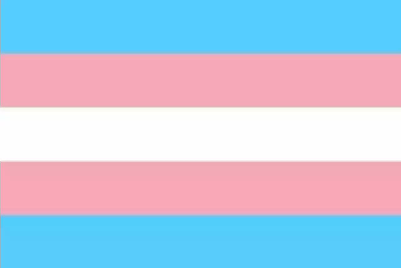 Newfoundland and Labrador celebrating International Transgender Day of Visibility | SaltWire