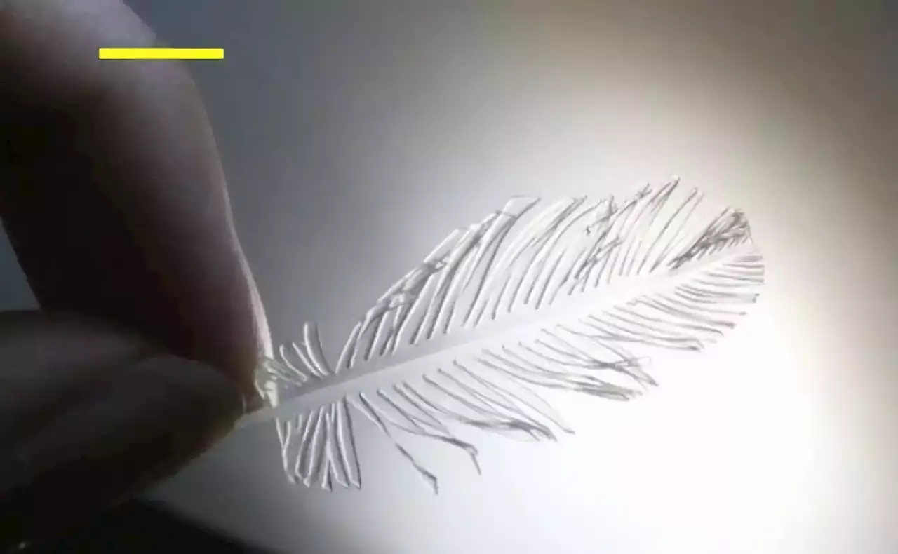 Origami Reinvented: Chemical Engineers Unfold the Future of Glass Sculpture and Catalysis