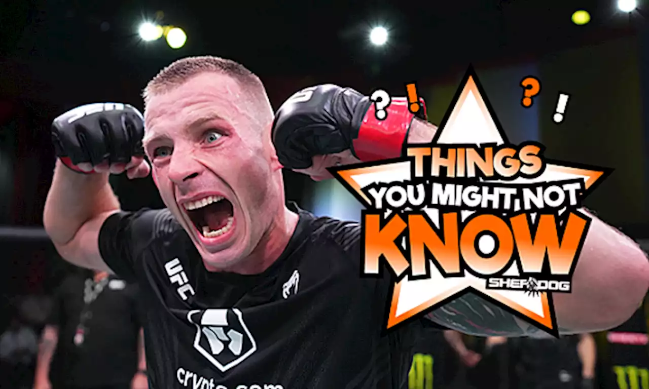 5 Things You Might Not Know About Krzysztof Jotko
