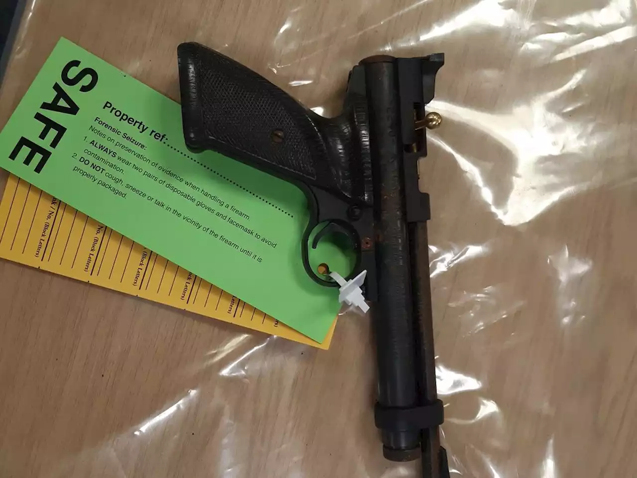 Scouts find pistol stashed in a hedge during litter pick