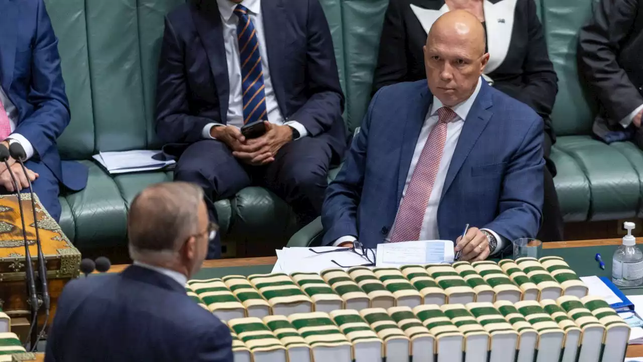 'Angry Eeyore': PM's spray at Dutton on by-election eve