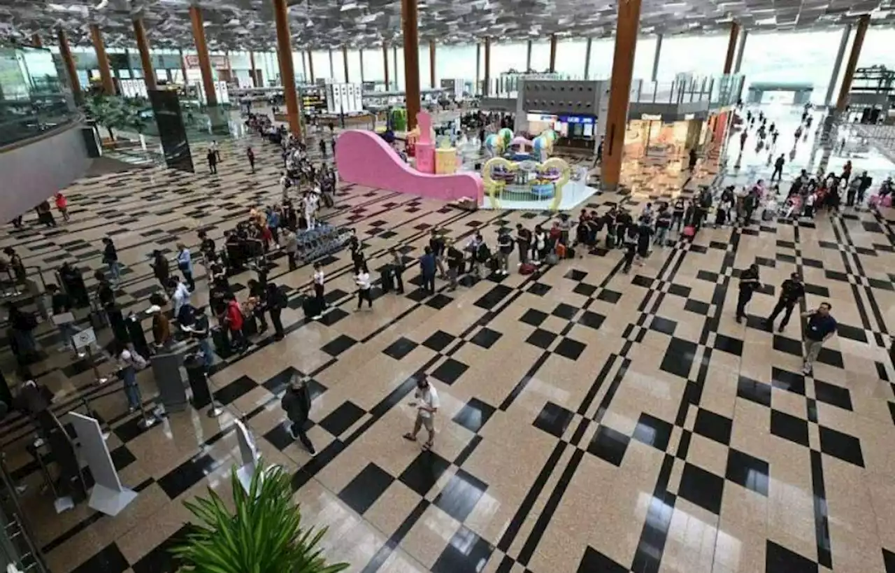 Immigration clearance at Singapore checkpoints back to normal after system disruption