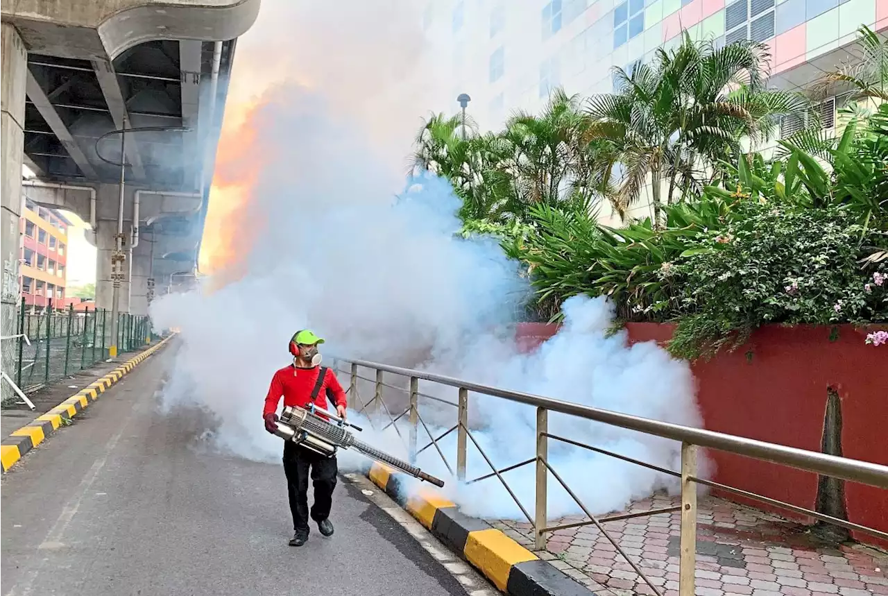 ‘Tell us the real dengue situation’