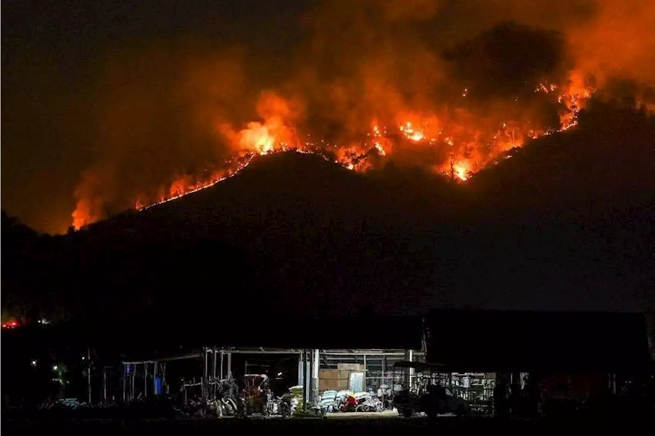 Thailand forest fires worsen pollution that has left two million ill