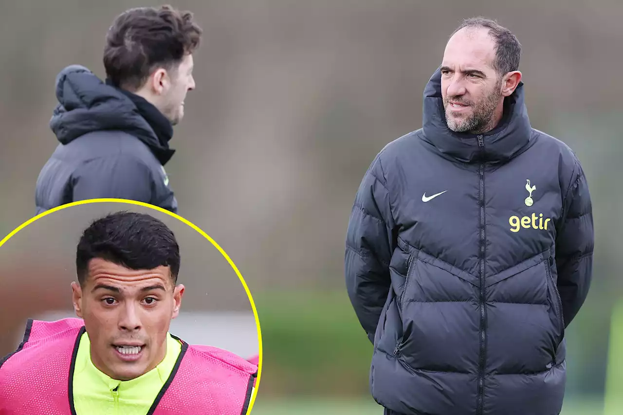 Stellini 'honoured' as he and Mason take training ahead of fresh start for Tottenham