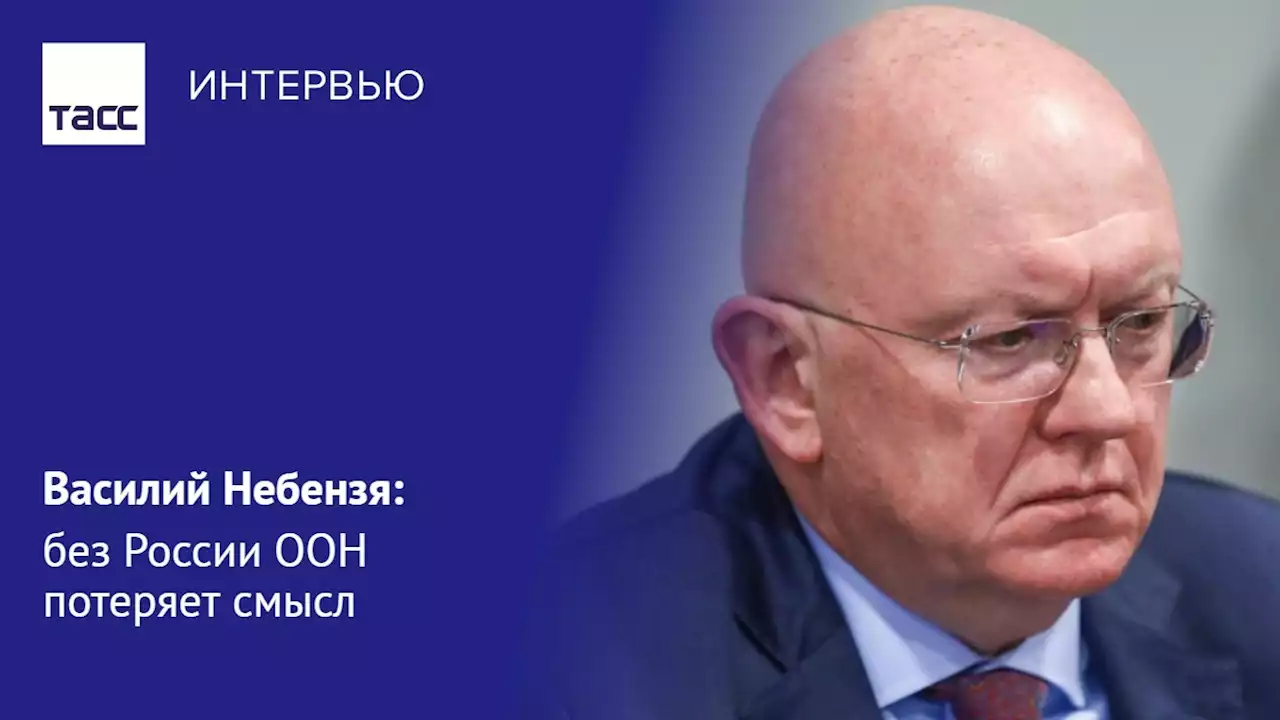 Василий Небензя: без России ООН потеряет смысл - Интервью ТАСС