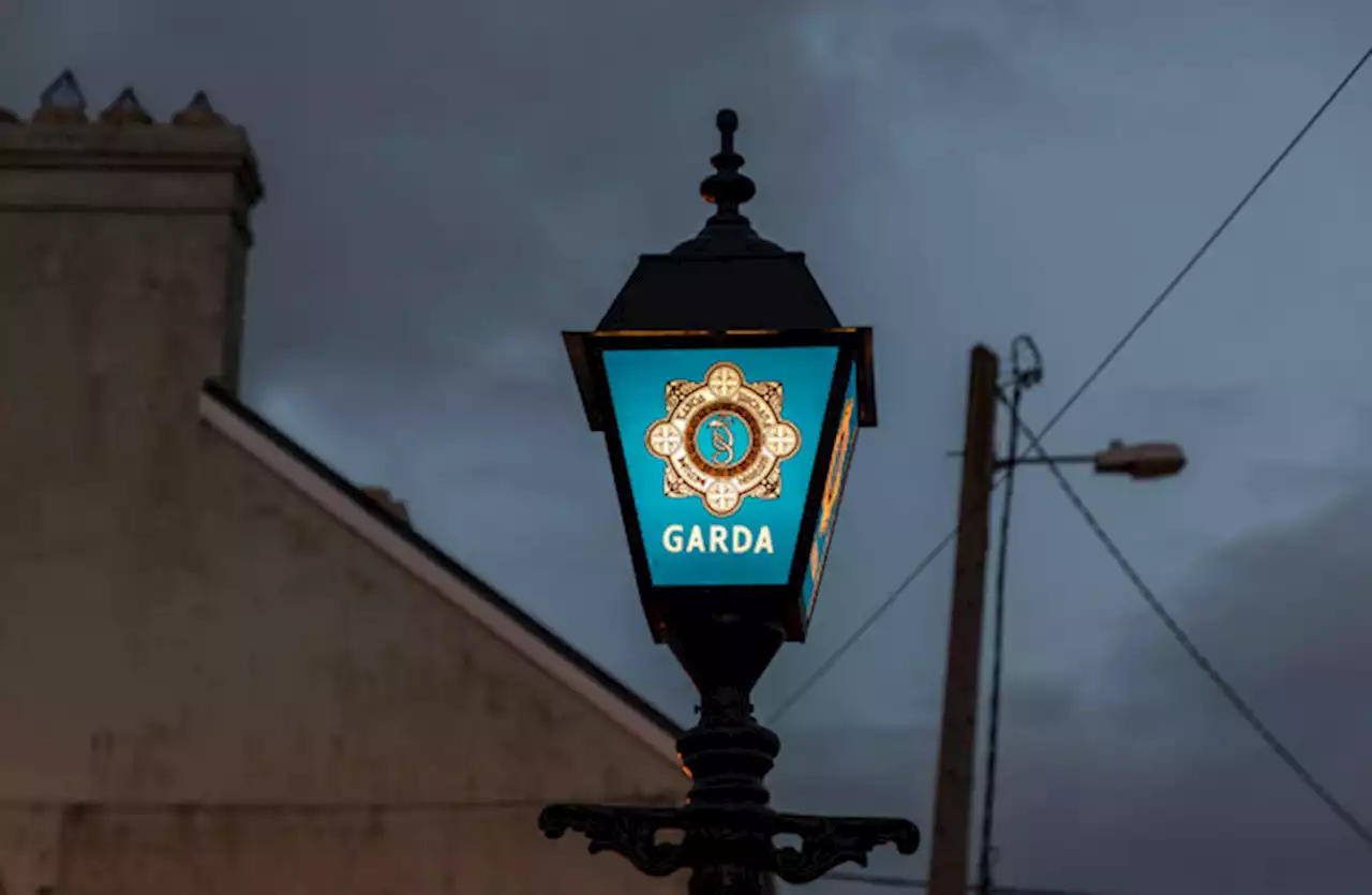 Gardaí appeal for witnesses to fight in Dublin city centre last Friday