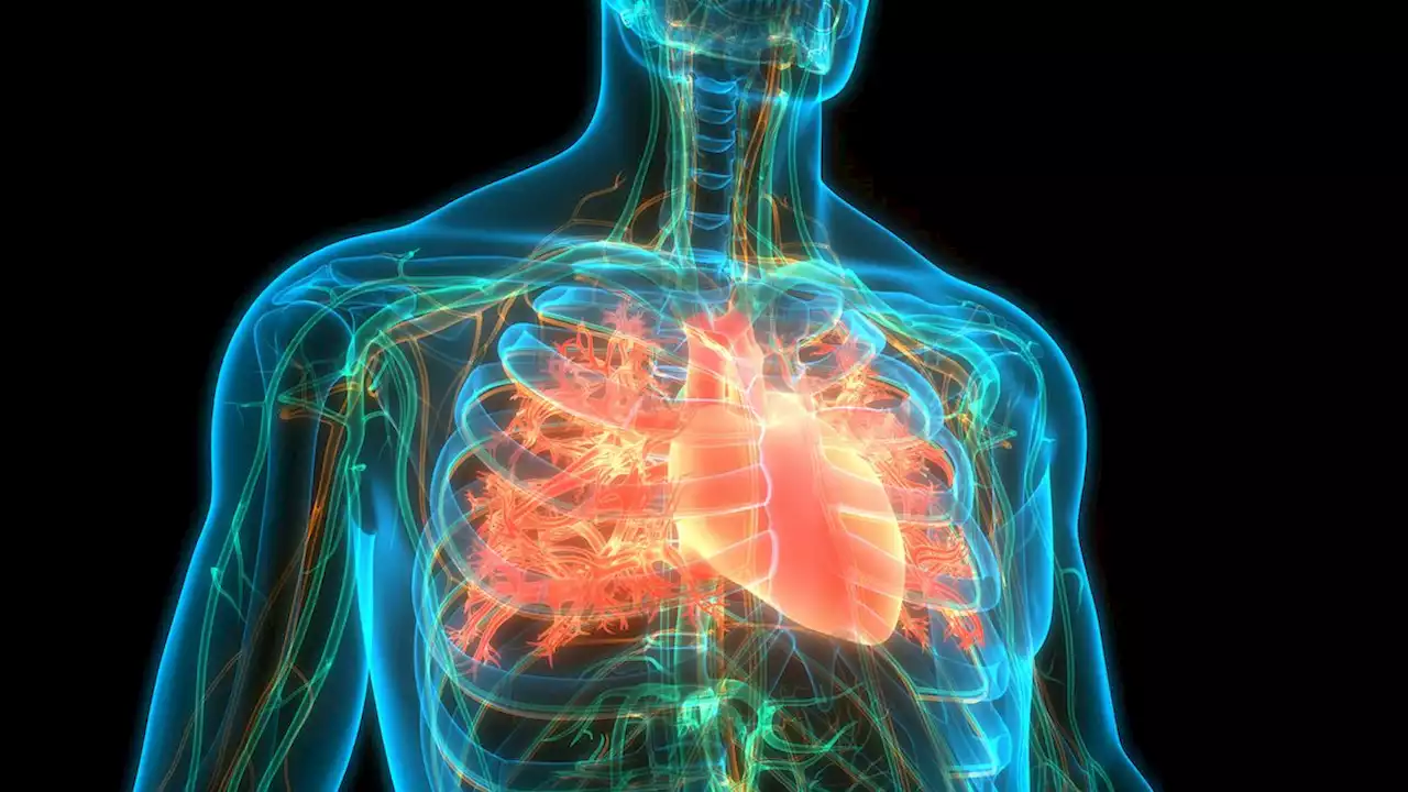 COVID-19 and myocarditis: Was it a false alarm?