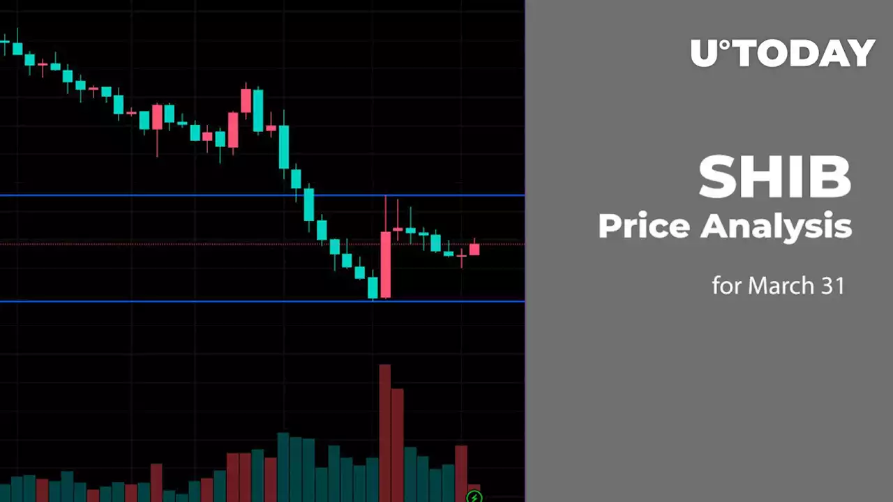 SHIB Price Analysis for March 31