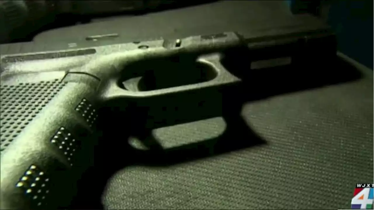 Florida OKs bill to carry concealed guns without a permit