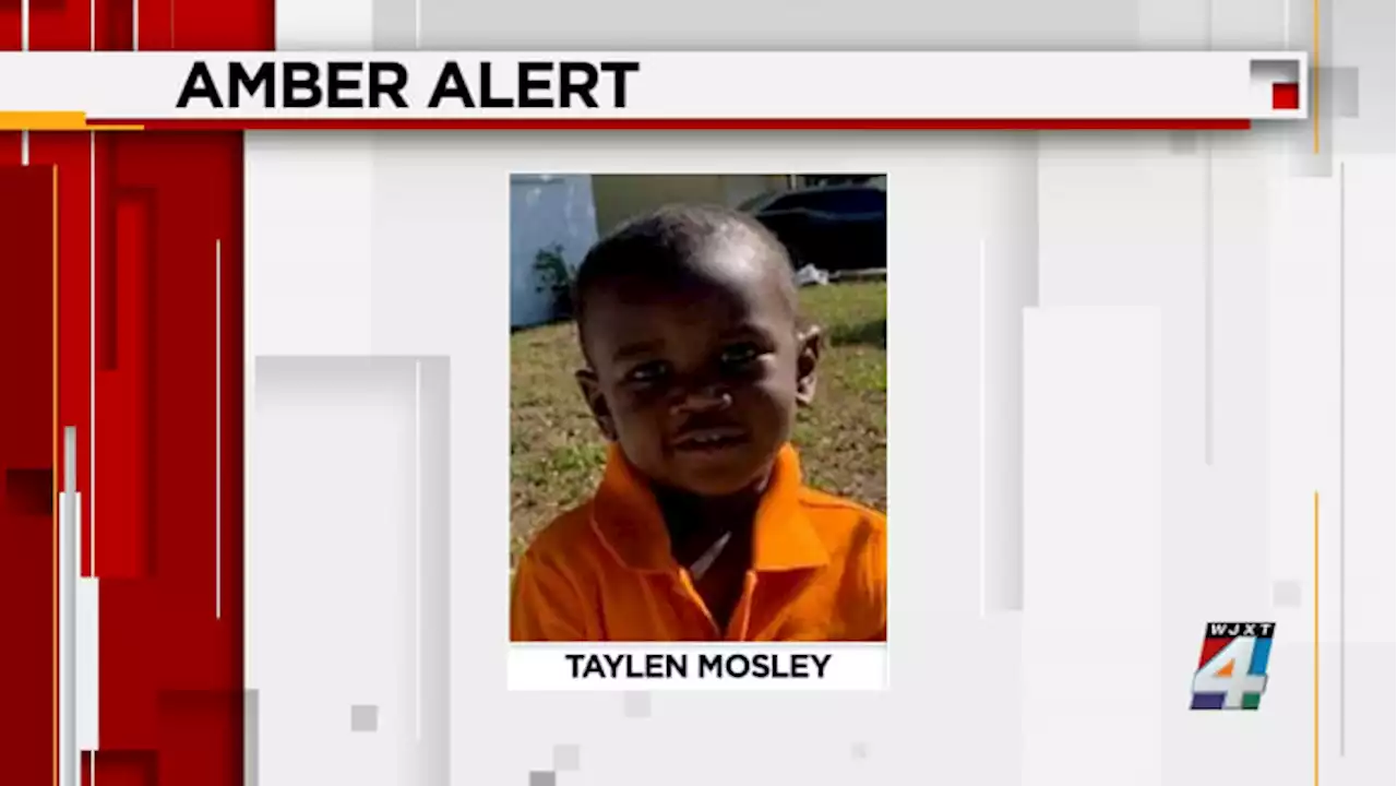 Search continues for missing toddler after mother found dead; father now person of interest