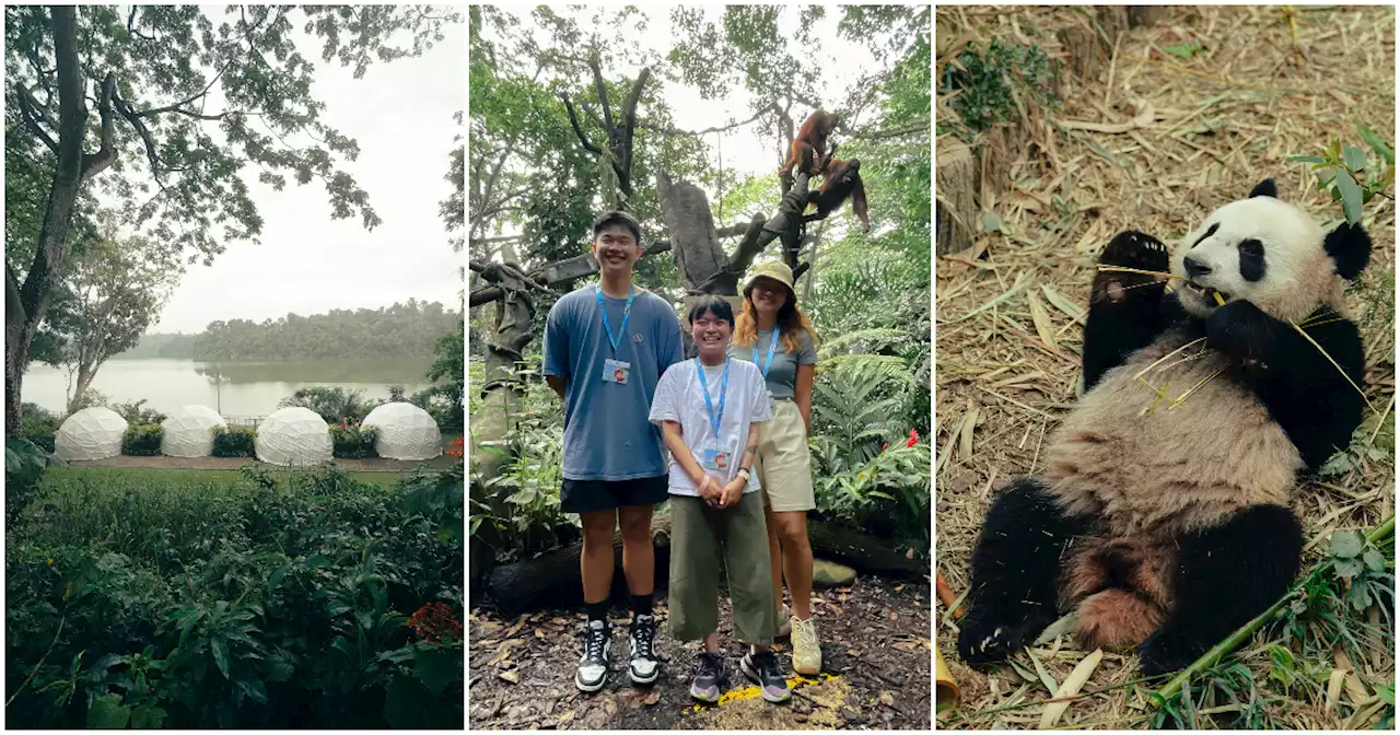 We spent the weekend glamping in the wild with Singapore Zoo’s animals (Review)