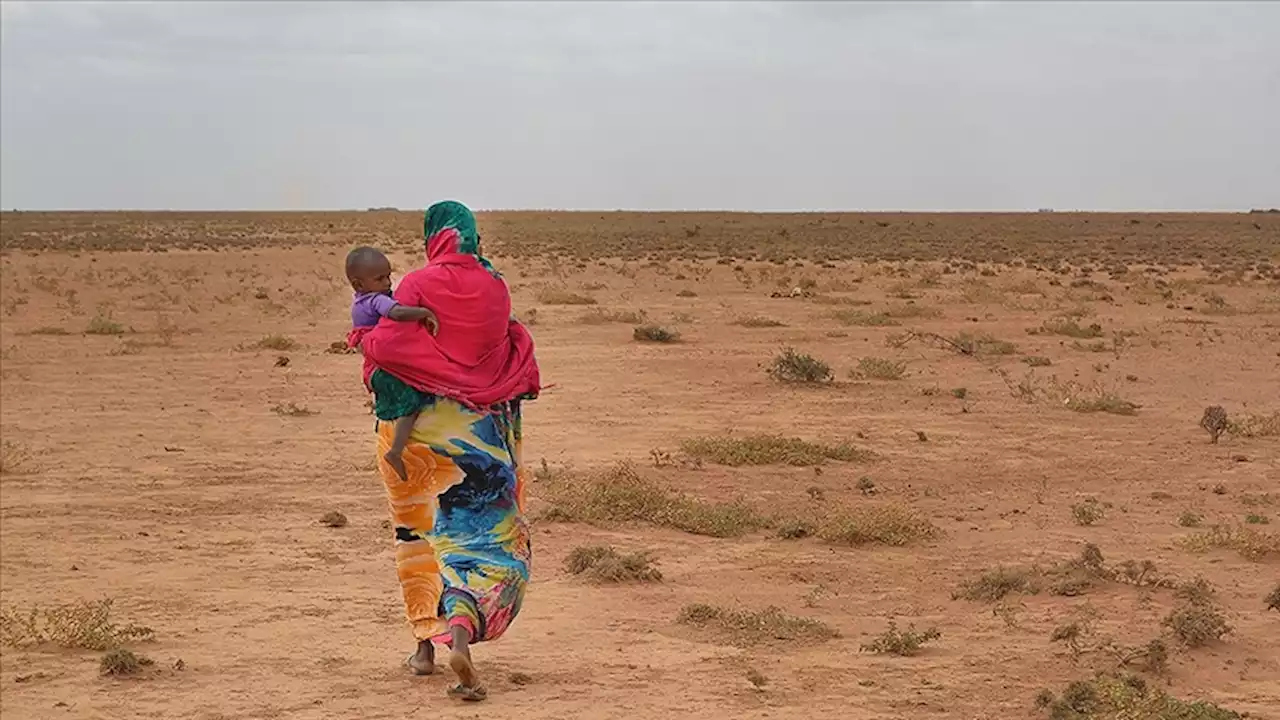 دست‌کم 100 هزار نفر به دلیل درگیری‌ها در سومالی‌لند آواره شدند