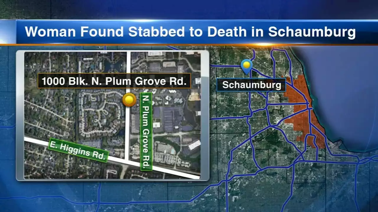 Man charged with fatally stabbing woman he dated for 3 years, Schaumburg police say