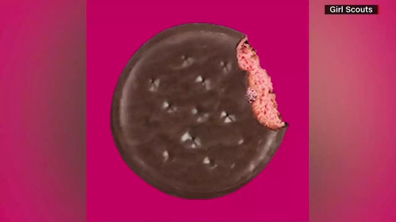 Do not buy Raspberry Rally Girl Scout cookies from eBay, organization says, after item sells out