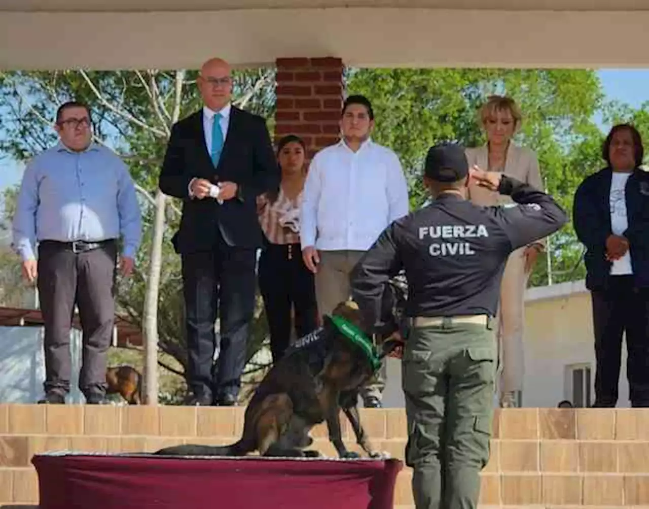 Perros héroes veracruzanos: 8 agentes caninos se retiran de la Fuerza Civil