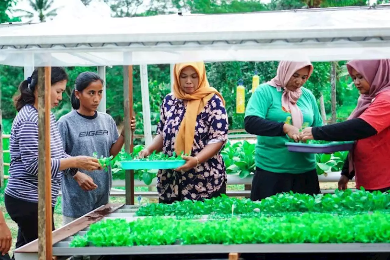 OIKN: Pelatihan pertanian di Nusantara membuahkan hasil