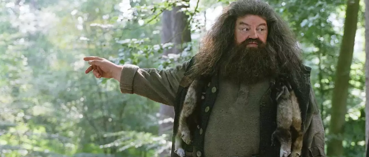 Hogwarts Legacy rinde tributo a Hagrid | Atomix