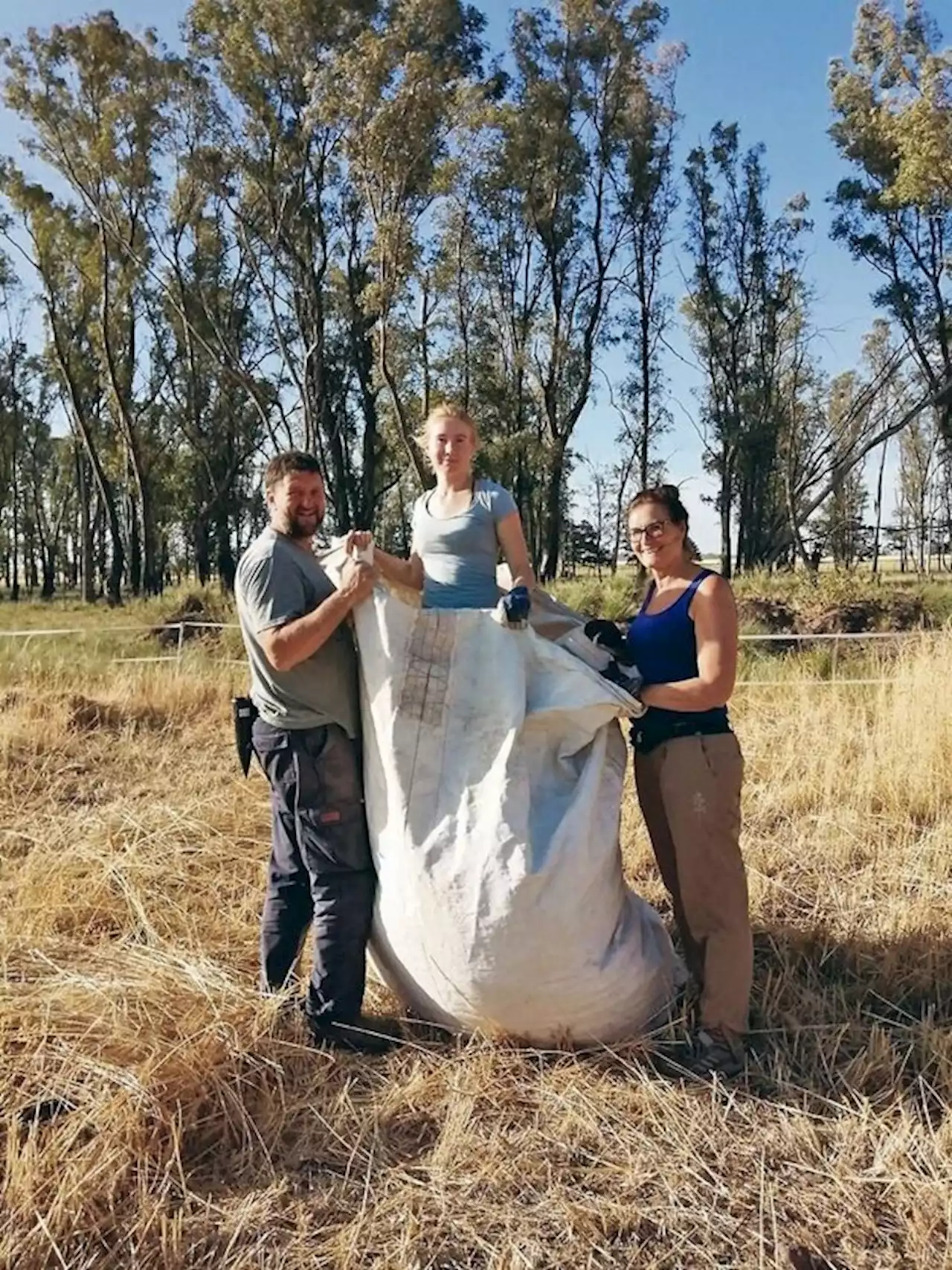 Bei der Dinkelernte in Handarbeit erstaunen Schweizer die Argentinier - bauernzeitung.ch