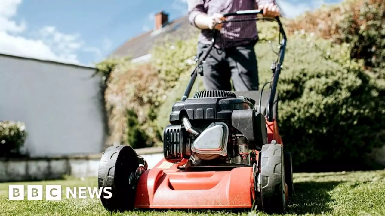 When should I get my lawnmower out for first cut?