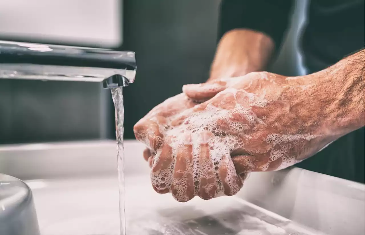 What Happens If You Don't Wash Your Hands After Using the Bathroom, According to Doctors