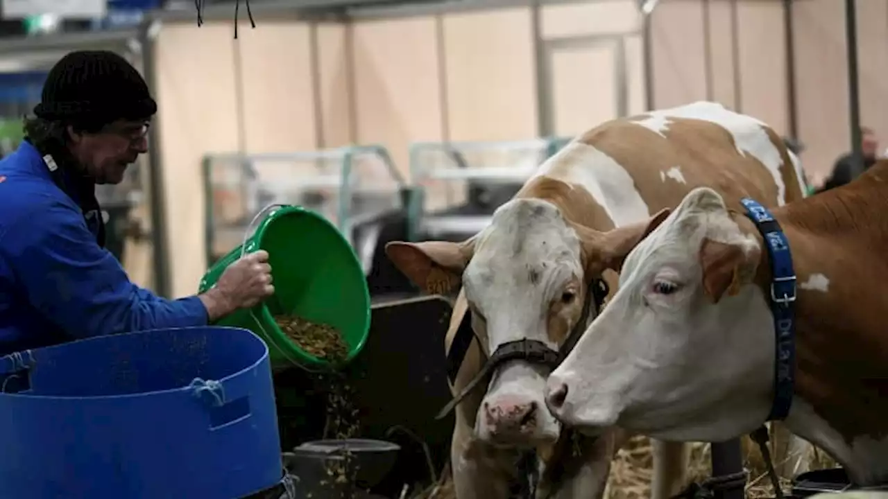 Retraite des agriculteurs: 'une injustice phénoménale' qui pourrait bientôt prendre fin