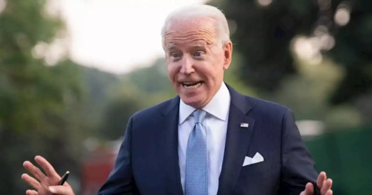 Poll: Americans Think Corporate Media Is Going Easy on Biden