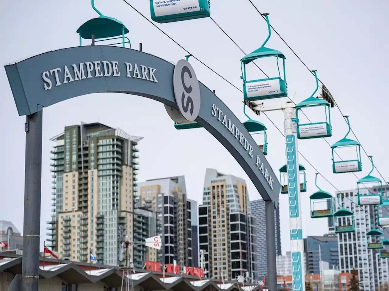 Stampede gallops to profit for first time in three years