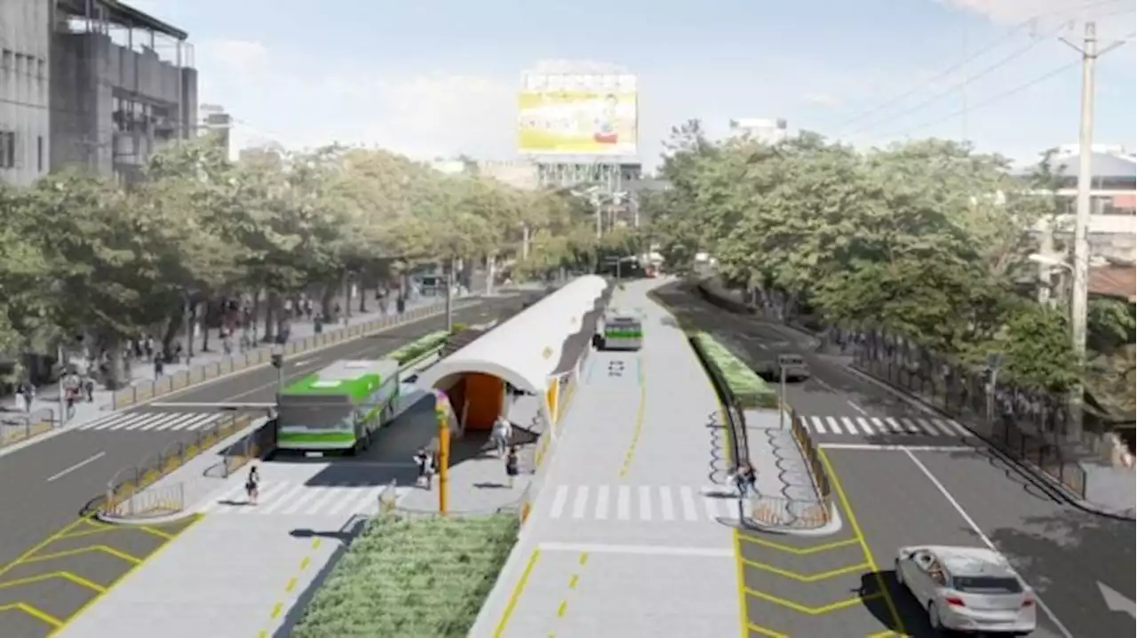 Cebu Bus Rapid Transit may require at least 9 hectares of land