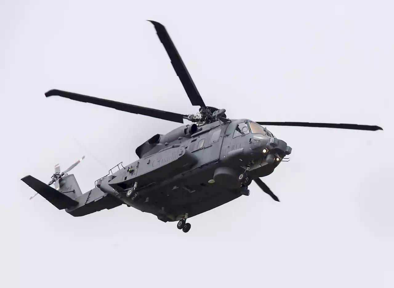 Ottawa on hook for software glitch that caused deadly military helicopter crash