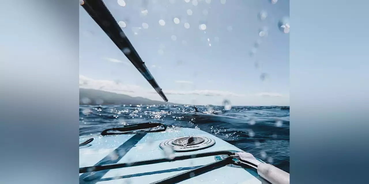 Paddleboarders fend off 15-foot shark in ‘terrifying’ encounter