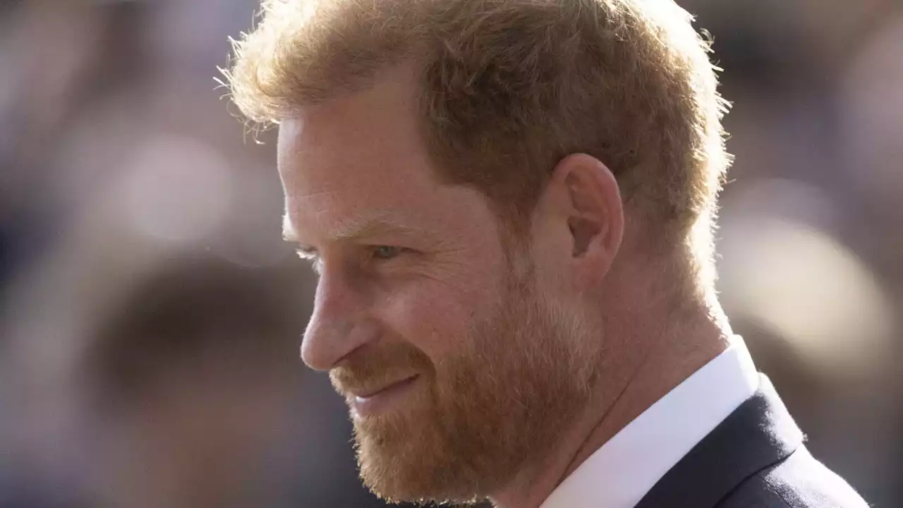 Prince Harry : cet animal étonnant dans lequel il aimerait être réincarné après sa mort