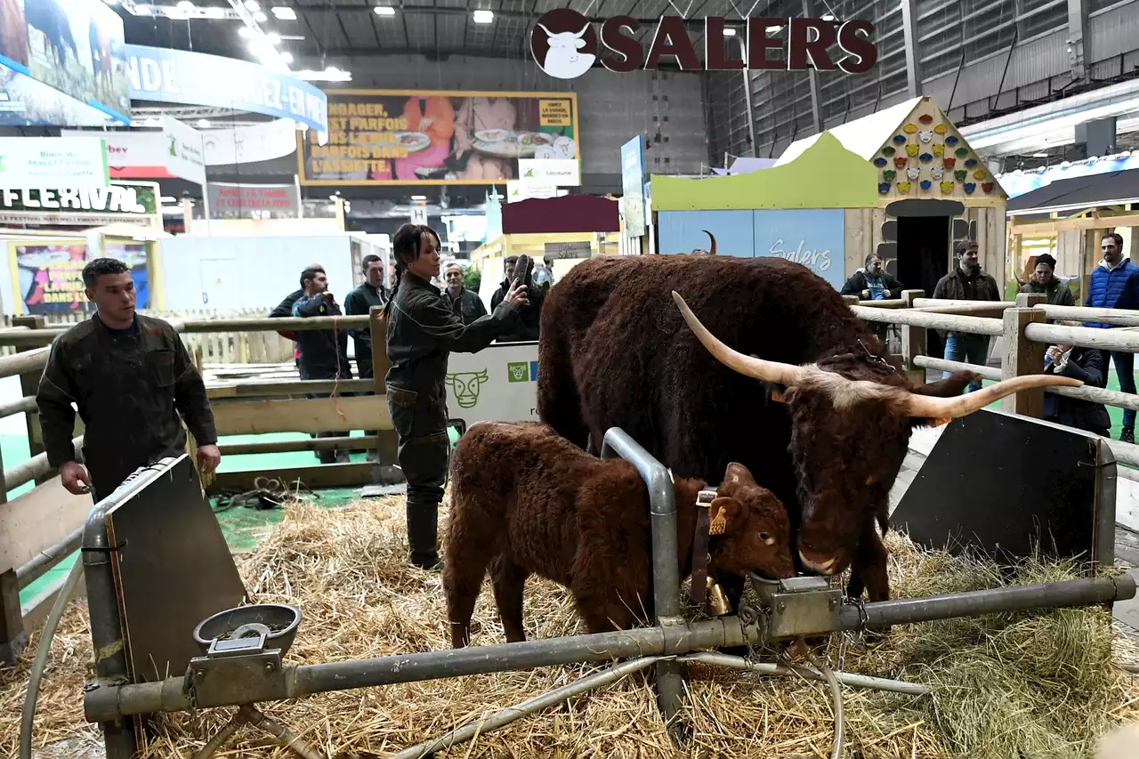 Salon de l'Agriculture : le Parc des expositions fermé pour des raisons de sécurité