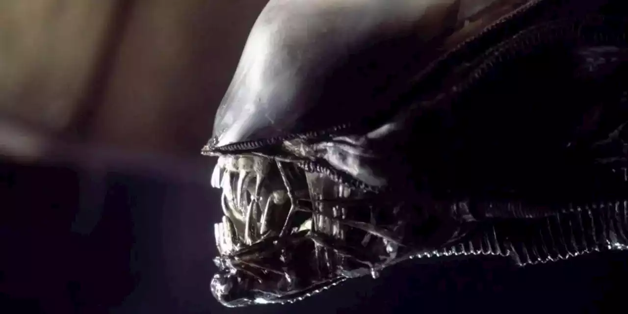 Fede Álvarez’s New ‘Alien’ Movie Starts Filming Next Week in Budapest