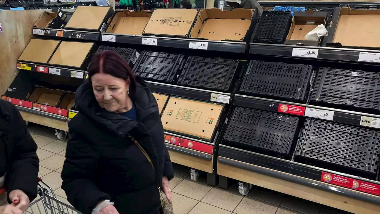 Leere Supermarktregale in Großbritannien: »Das wird noch schlimmer werden«