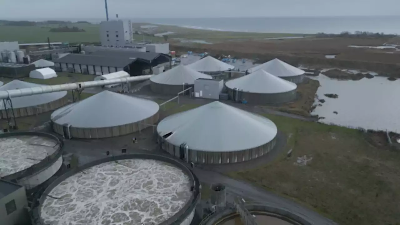 Juraprofessor underkender redegørelse for import og udledning af miljøfarligt spildevand