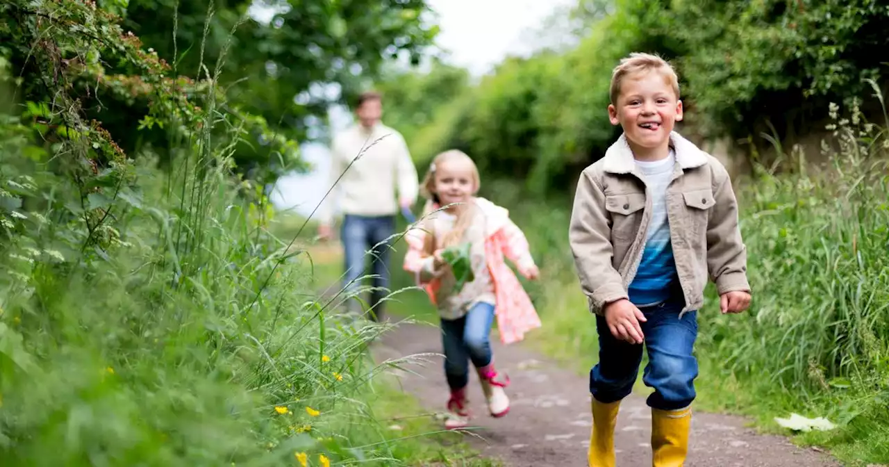 22 fun things to do with the kids in and around Liverpool