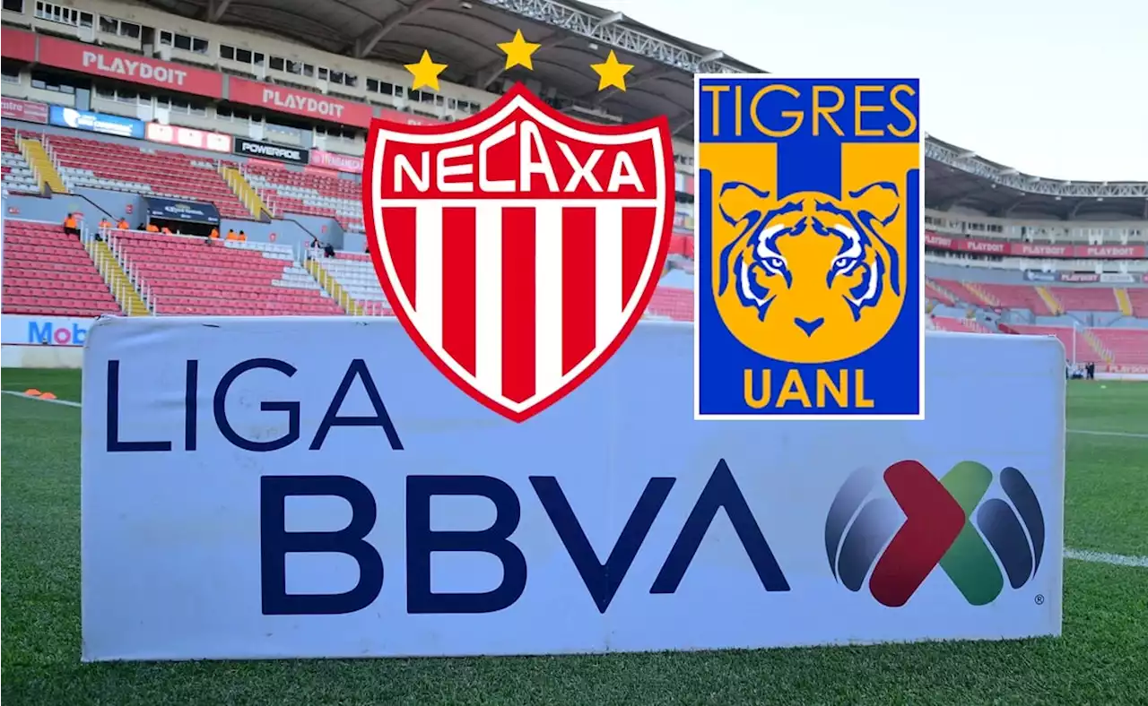 Liga MX: Necaxa vs Tigres EN VIVO - Jornada 10 Clausura 2023