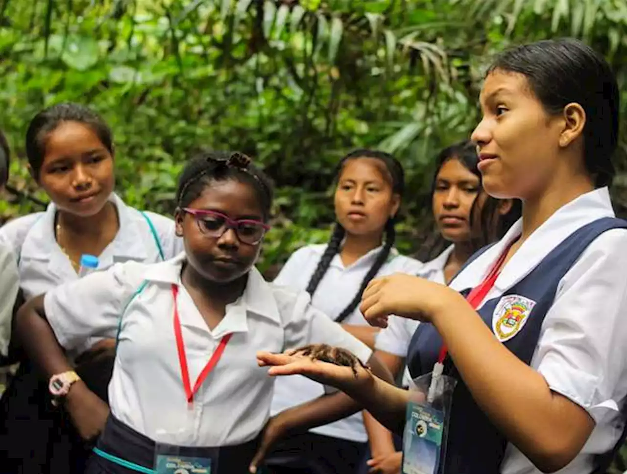 Minciencias, MIT y Harvard abren concurso para adolescentes de comunidades étnicas