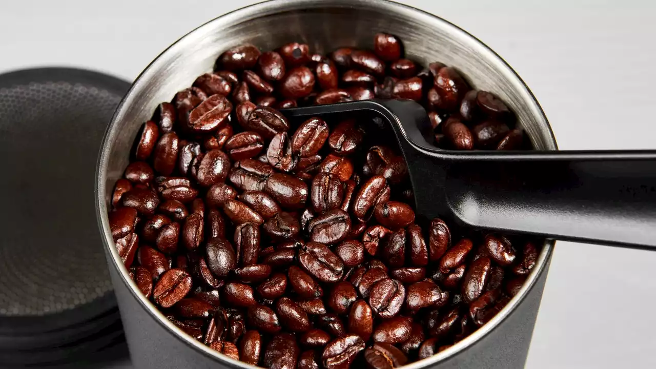 Please, Don't Store Your Coffee Beans in the Fridge