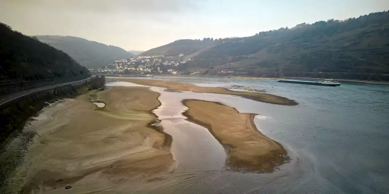 Rhein trocknet schon Anfang März aus - jetzt droht das Po-Schicksal