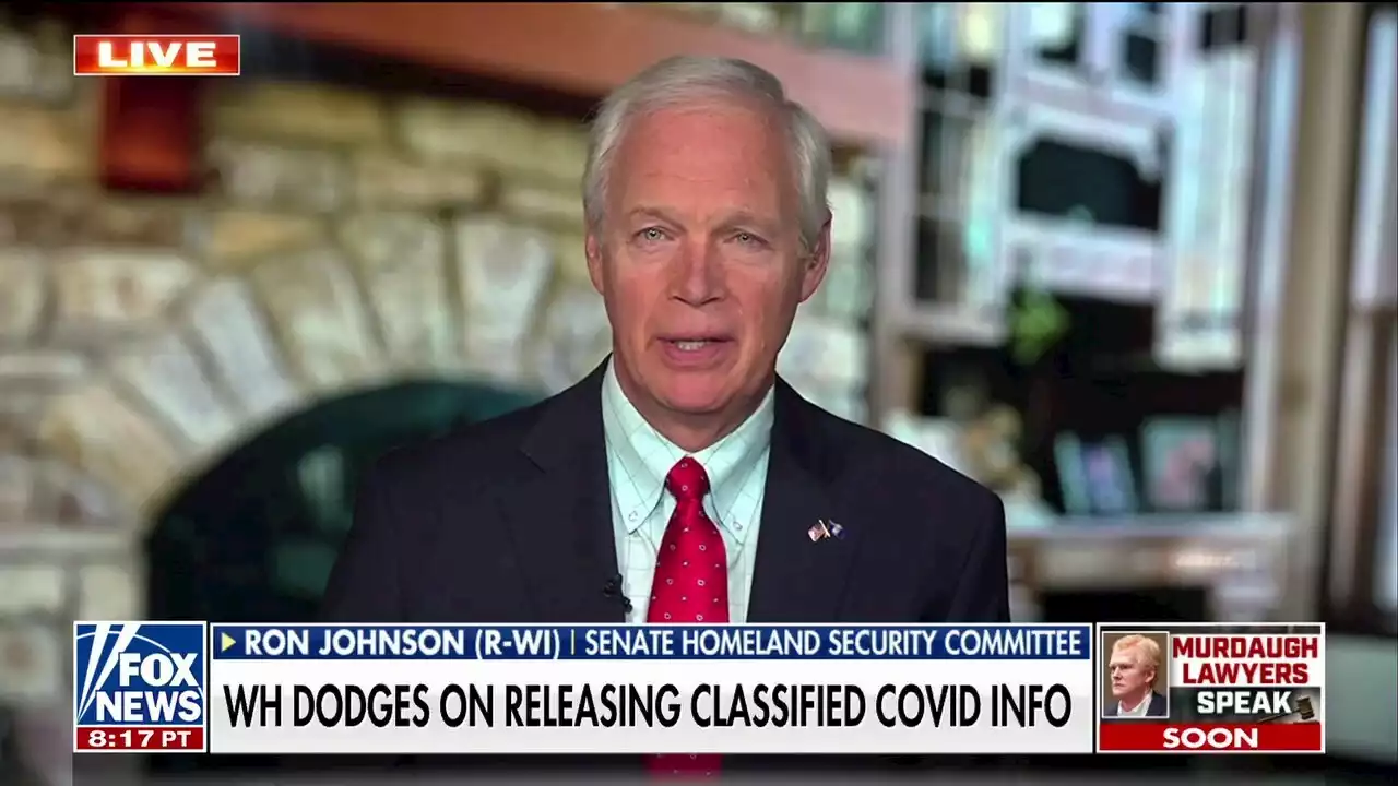 Sen. Ron Johnson: The 'cover-ups' by Dr. Fauci and China have to end