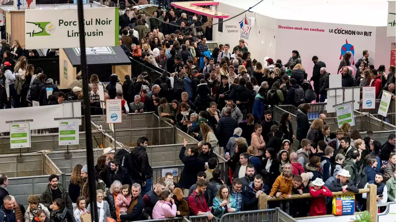 Salon de l'agriculture : les organisateurs ferment les accès du parc des expositions de Paris en raison d'une trop forte affluence