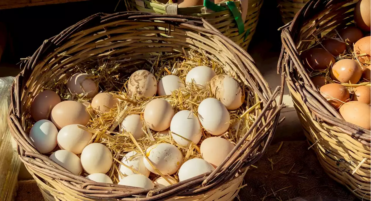 Extra Extra: Did someone shortchange this East Hampton 'honor-system' egg stand?